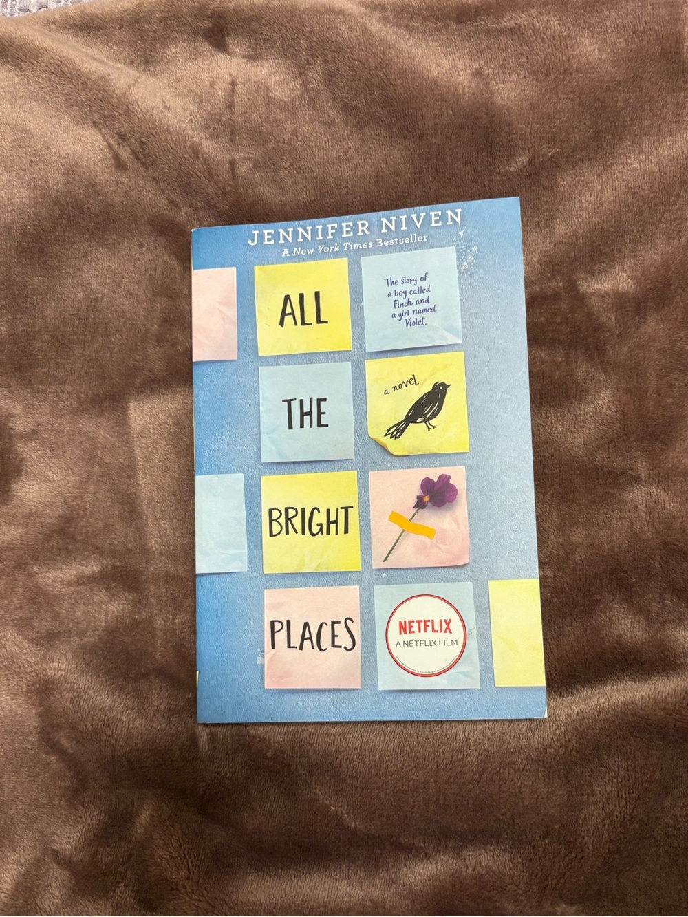 Book - “All the Bright Places”